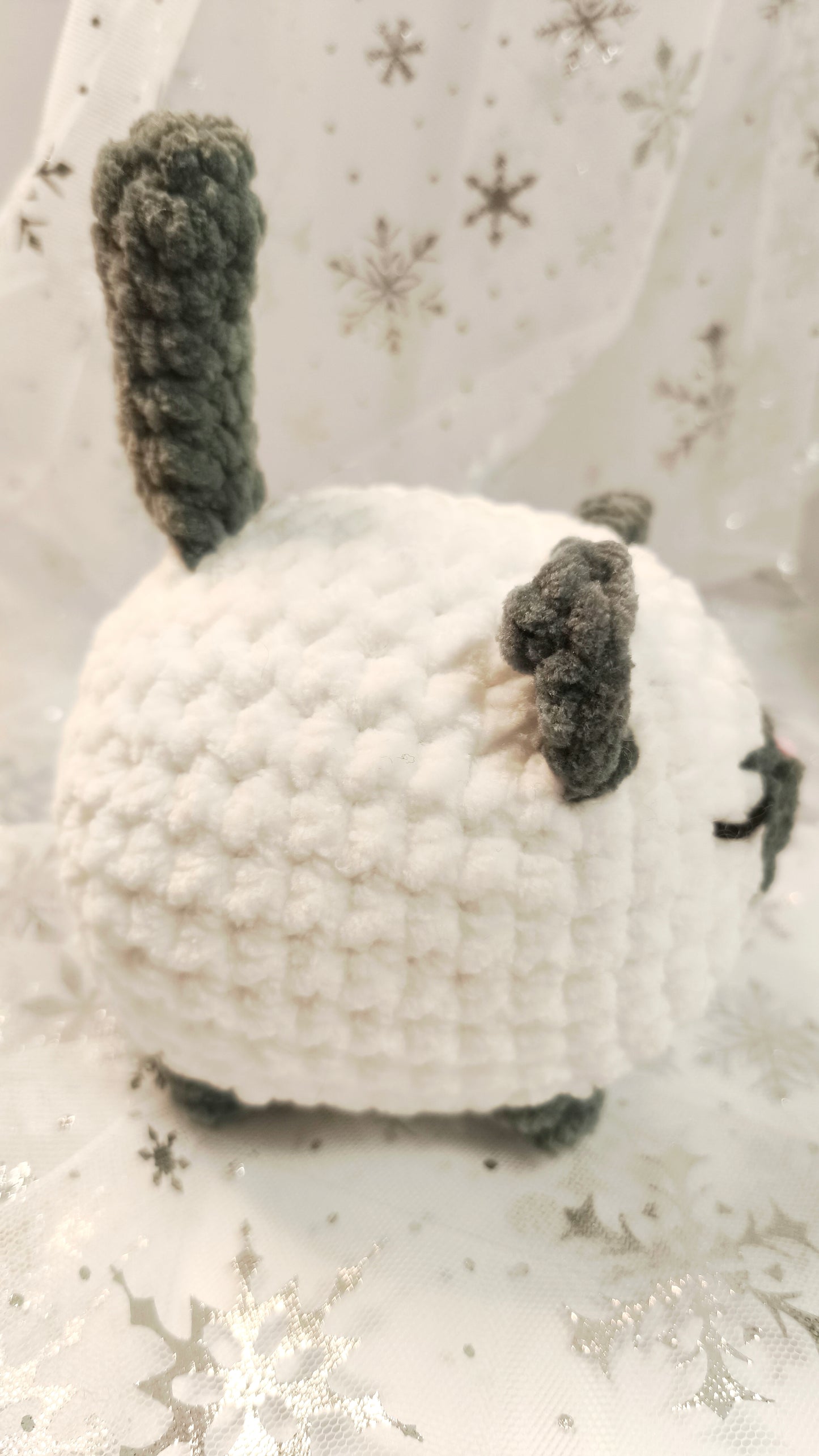 🐱❄️ Siamkatze „Suanín“ | WeißGrau | Irische Winterzeit