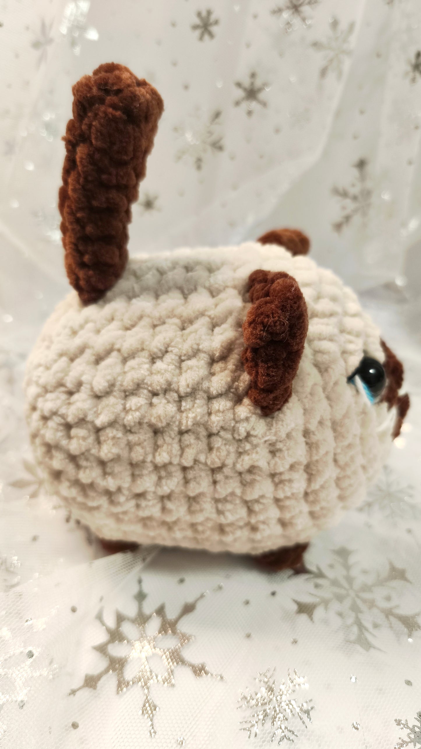 đ±âïž Siamkatze âSpĂ©irĂnâ | BeigeBraun | Irische Winterzeit