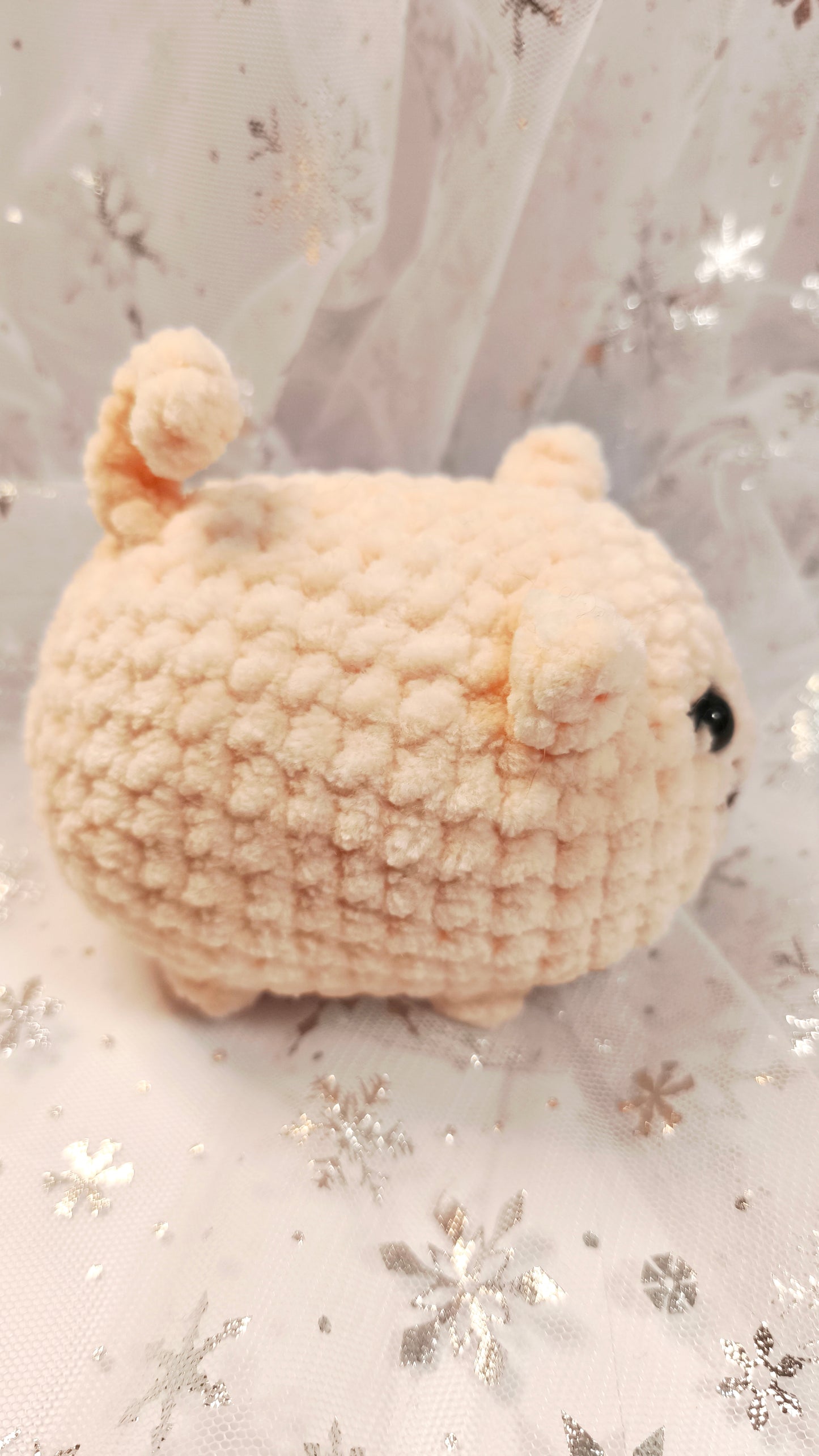 🐱 Babykatze „Muirne“ | Apricot | Cozy Winter Edition