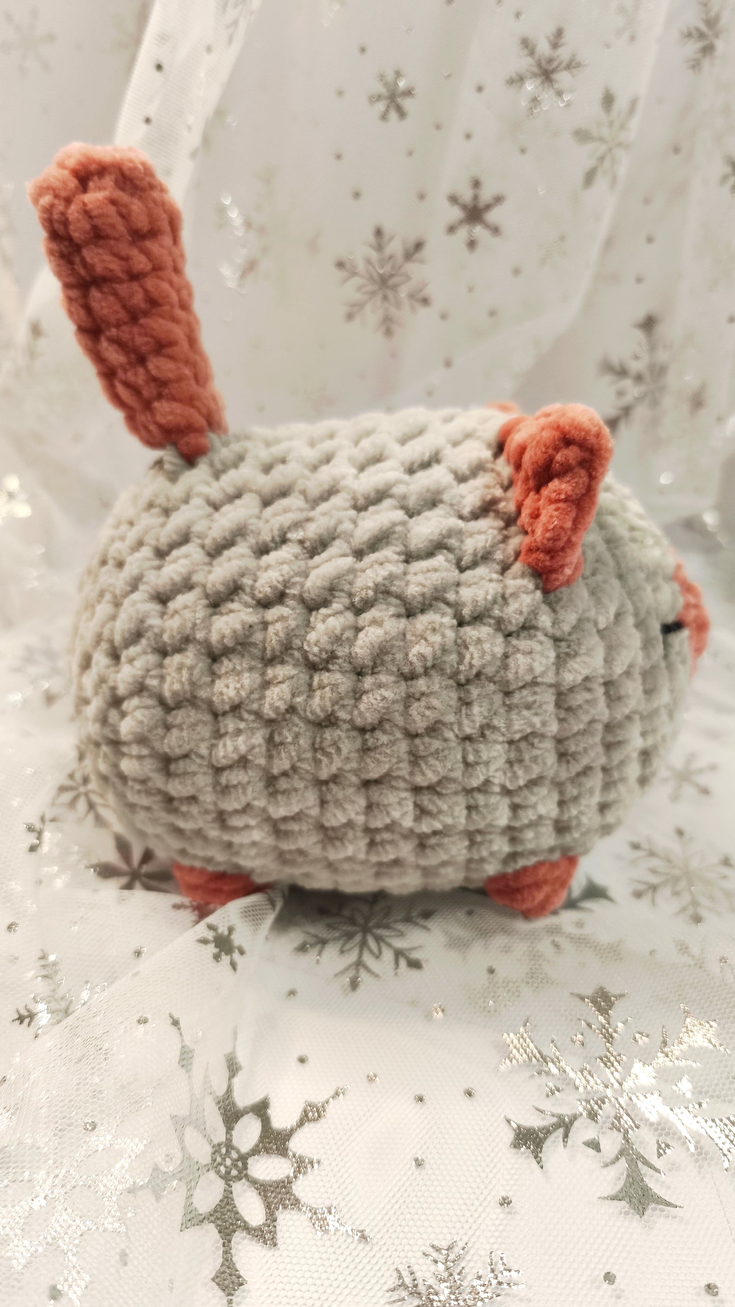 🐱❄️ Siamkatze „Suanín“ | GrauZimt | Irische Winterzeit