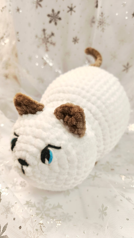 🐾❄️ Pummelkatze „Gráinne“ | Irische Winterzeit