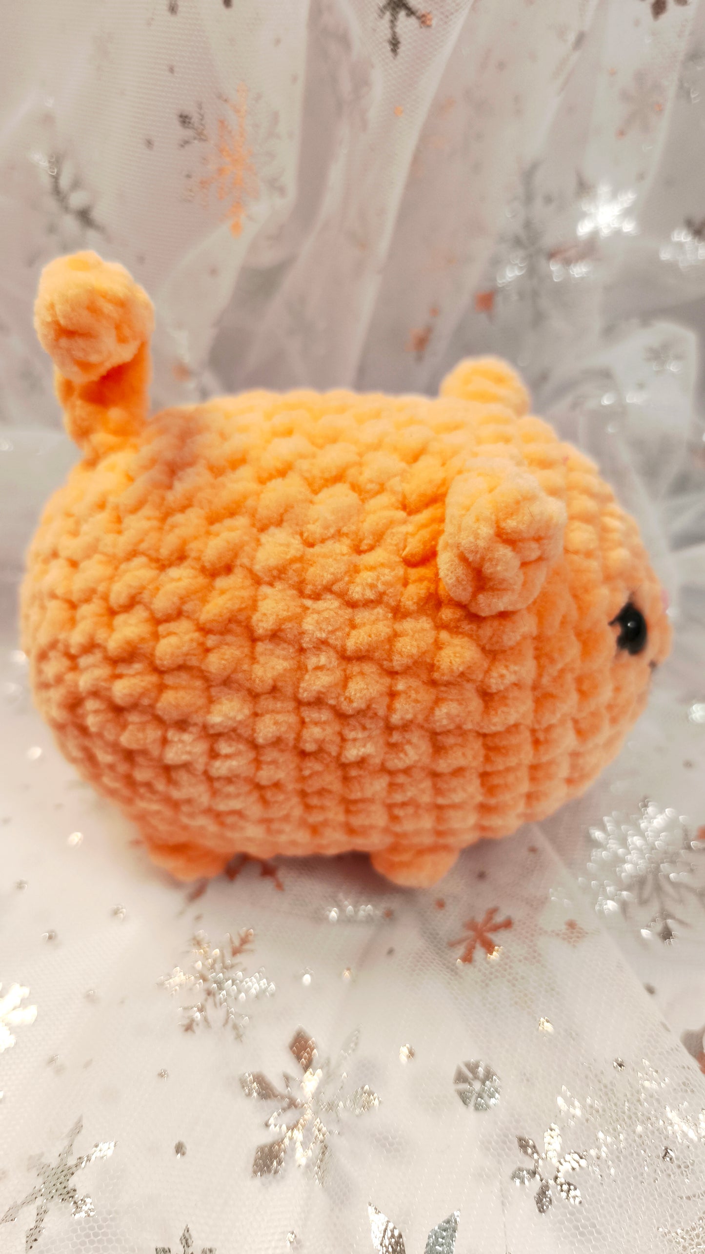 🐱 Babykatze „Muirne“ | Mandarine | Cozy Winter Edition