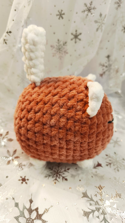 🐱❄️ Siamkatze „Suanín“ | ZimtWeiß | Irische Winterzeit