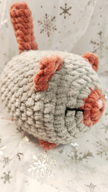 🐱❄️ Siamkatze „Suanín“ | GrauZimt | Irische Winterzeit