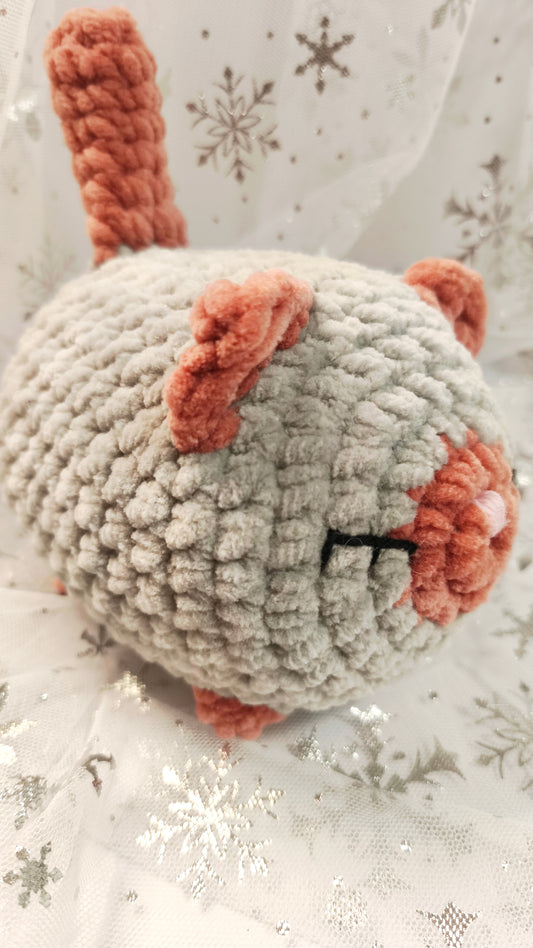 🐱❄️ Siamkatze „Suanín“ | GrauZimt | Irische Winterzeit