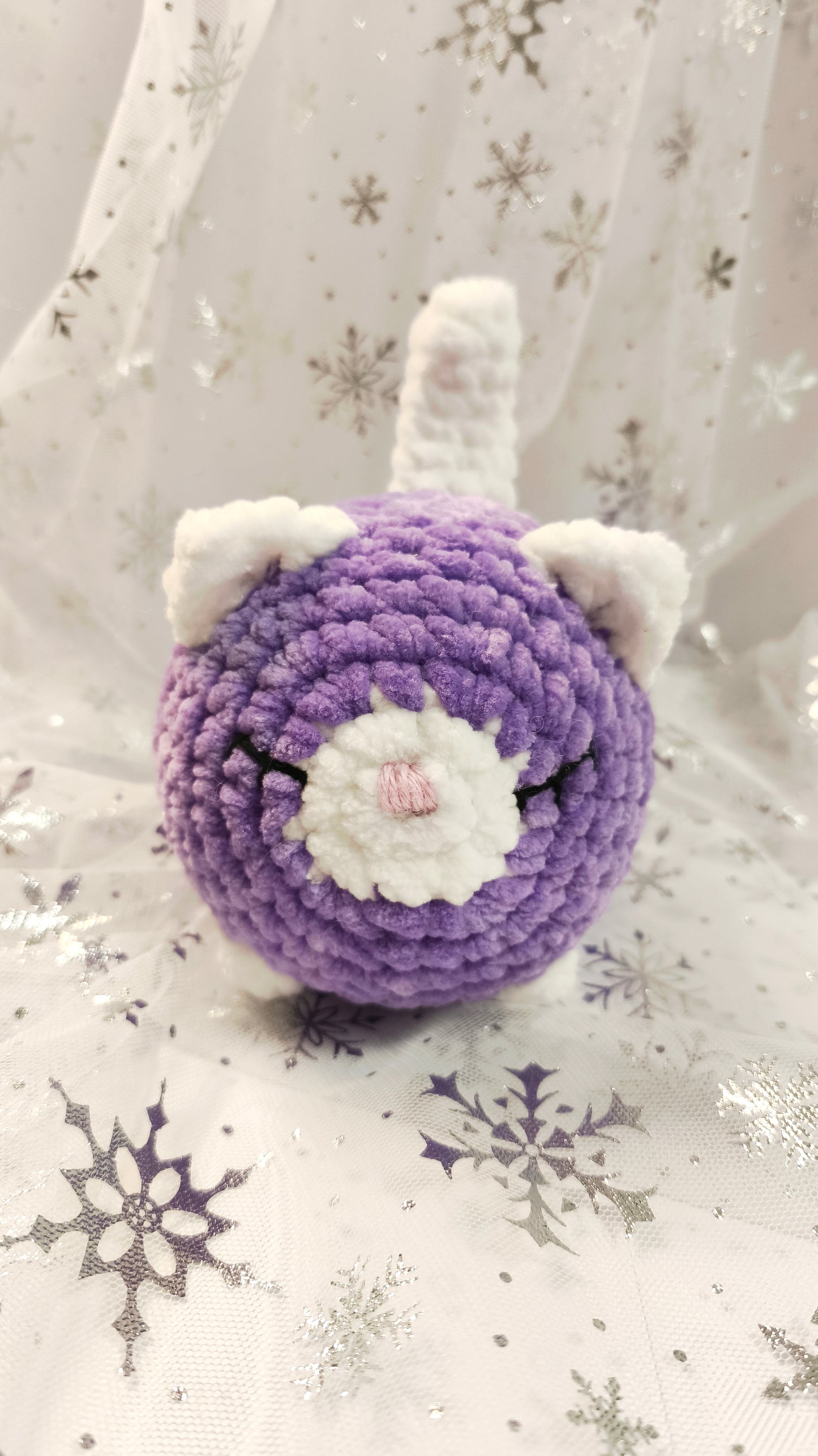 🐱❄️ Siamkatze „Suanín“ | LilaWeiß | Irische Winterzeit