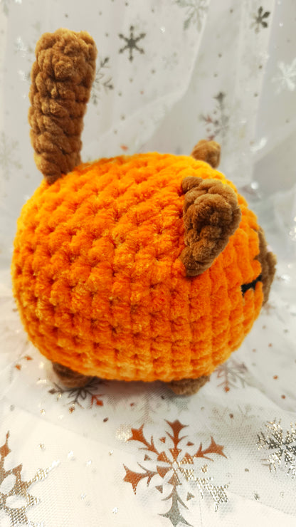 🐱❄️ Siamkatze „Suanín“ | OrangeBraun | Irische Winterzeit