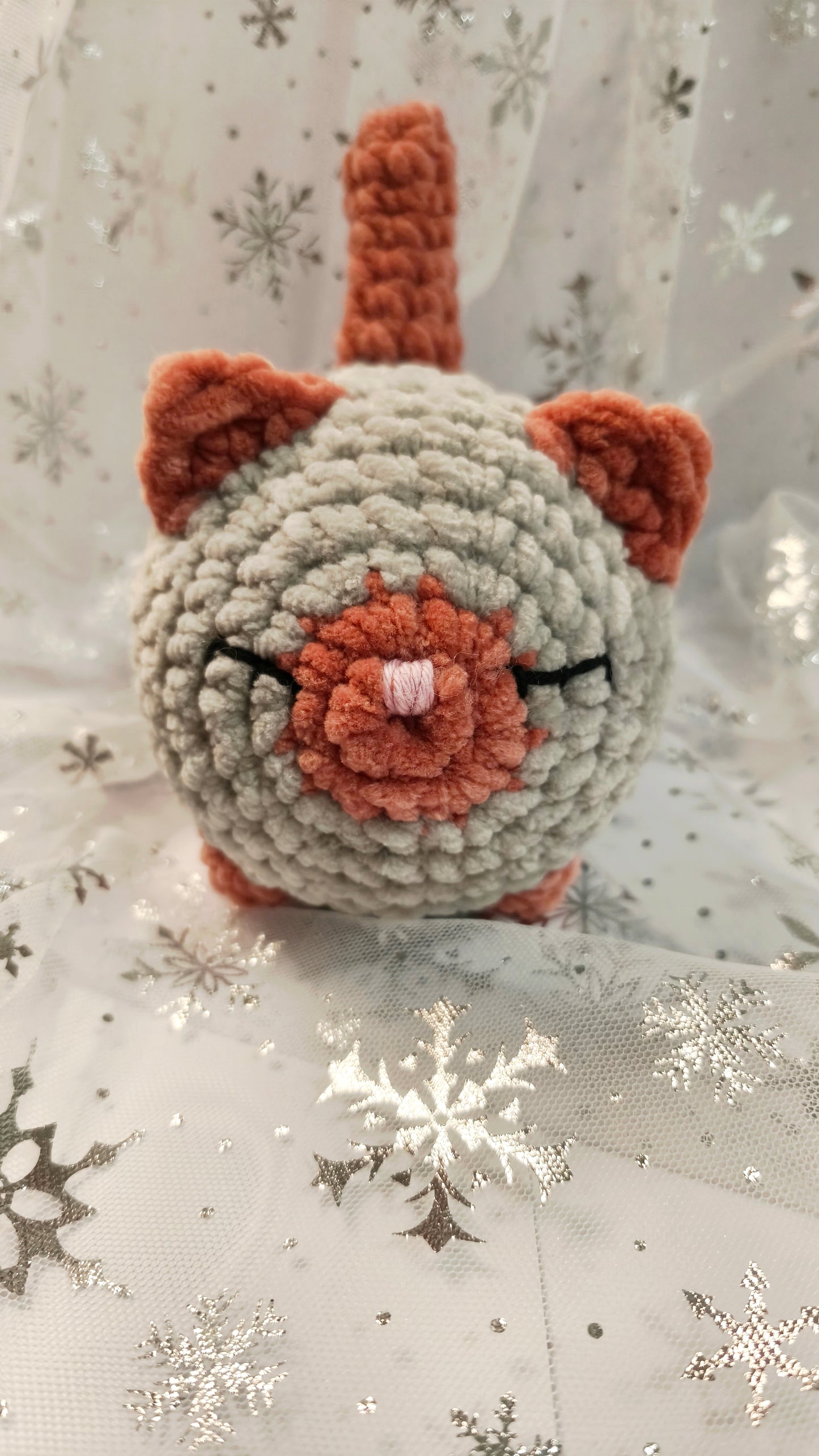 🐱❄️ Siamkatze „Suanín“ | GrauZimt | Irische Winterzeit