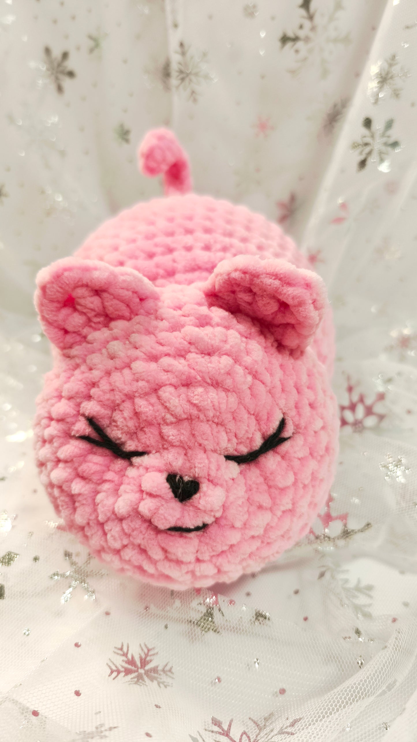 🐾🌸 Pummelkatze „Míde“ | Irische Winterzeit