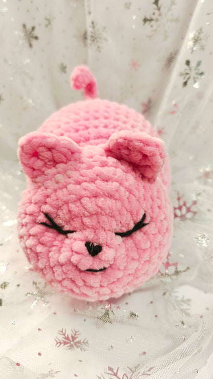 🐾🌸 Pummelkatze „Míde“ | Irische Winterzeit