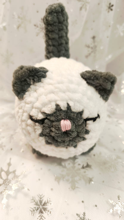 🐱❄️ Siamkatze „Suanín“ | WeißGrau | Irische Winterzeit