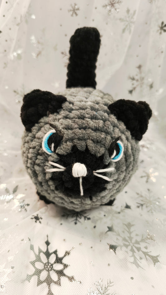 🐱❄️ Siamkatze „Feighín“ | GrauSchwarz | Irische Winterzeit