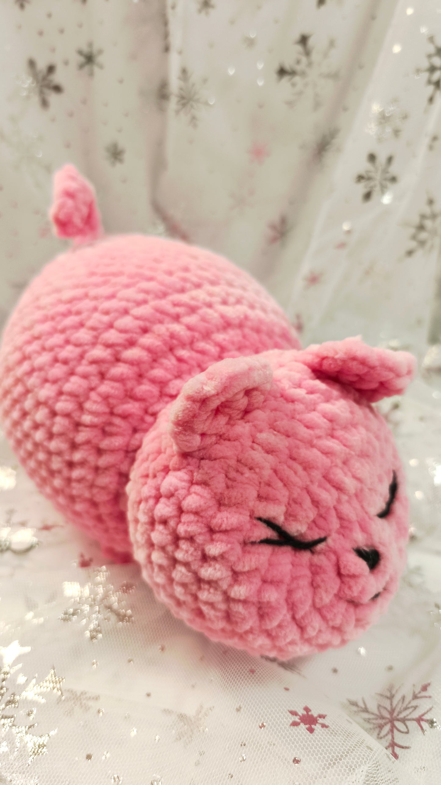 🐾🌸 Pummelkatze „Míde“ | Irische Winterzeit