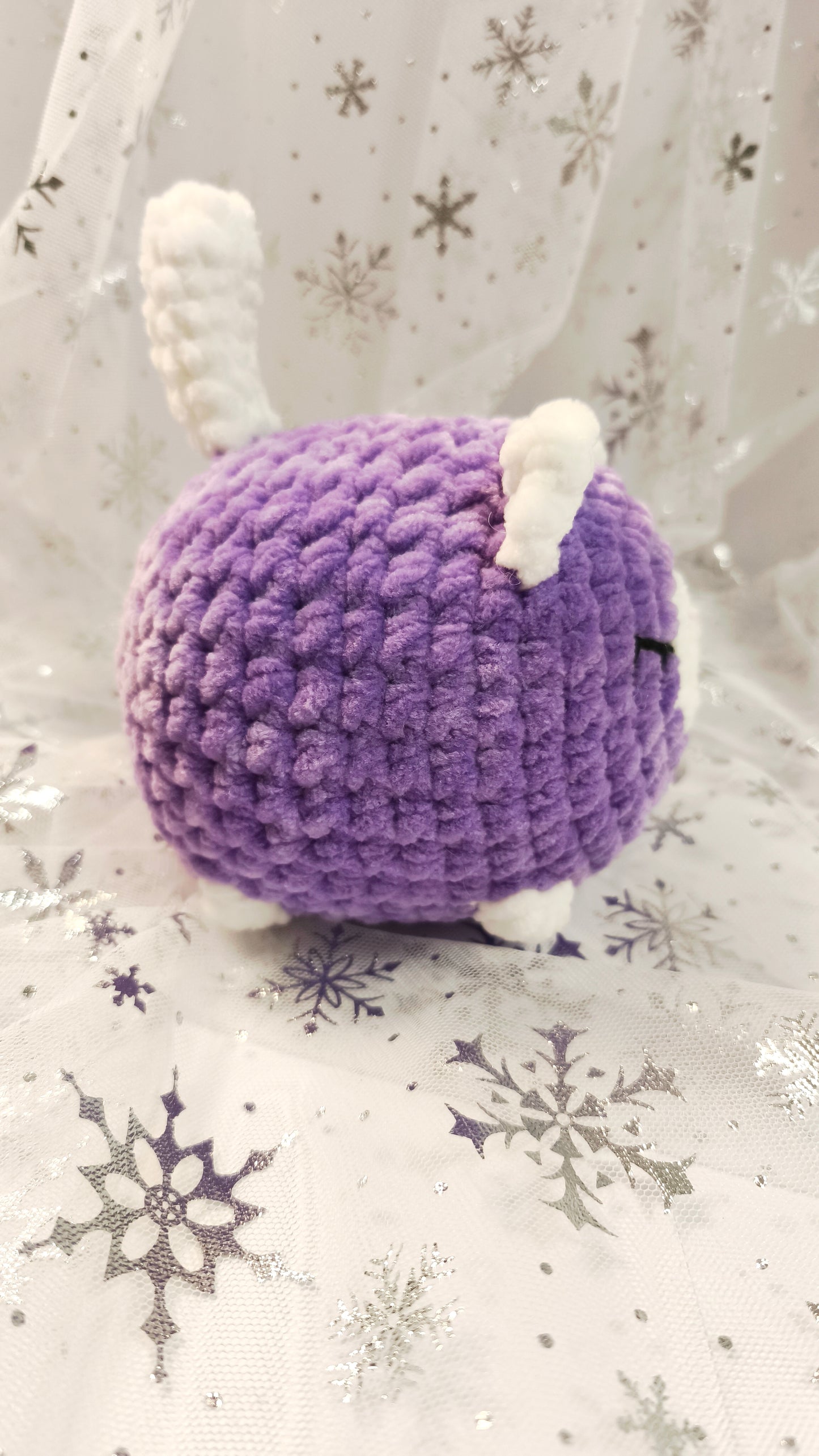 🐱❄️ Siamkatze „Suanín“ | LilaWeiß | Irische Winterzeit