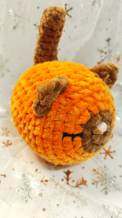 🐱❄️ Siamkatze „Suanín“ | OrangeBraun | Irische Winterzeit