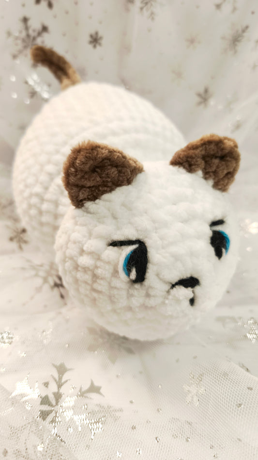 🐾❄️ Pummelkatze „Gráinne“ | Irische Winterzeit