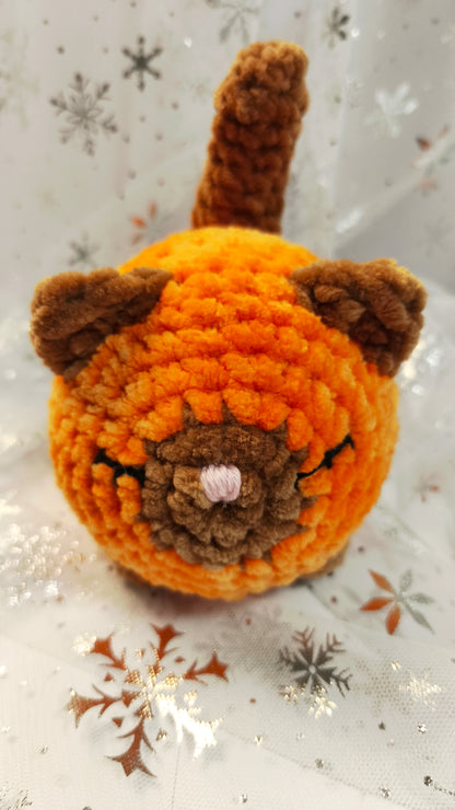 🐱❄️ Siamkatze „Suanín“ | OrangeBraun | Irische Winterzeit