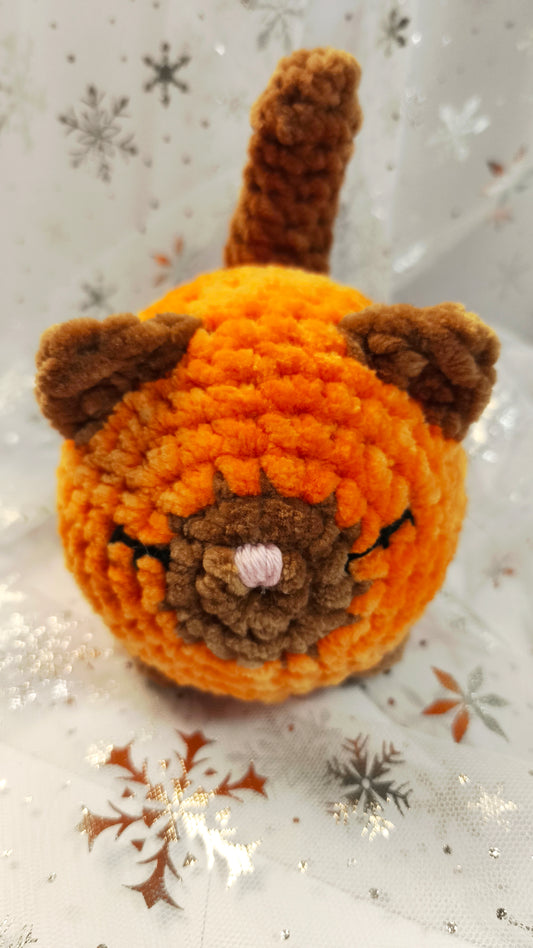 🐱❄️ Siamkatze „Suanín“ | OrangeBraun | Irische Winterzeit