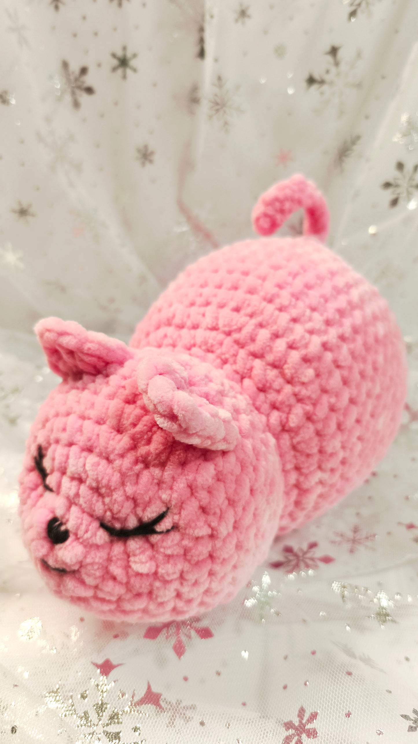 🐾🌸 Pummelkatze „Míde“ | Irische Winterzeit