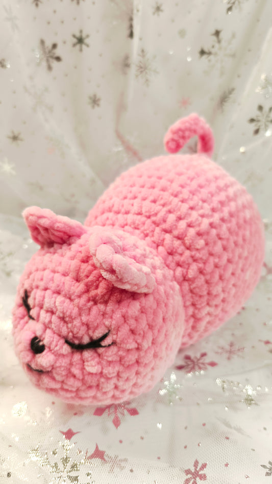 🐾🌸 Pummelkatze „Míde“ | Irische Winterzeit