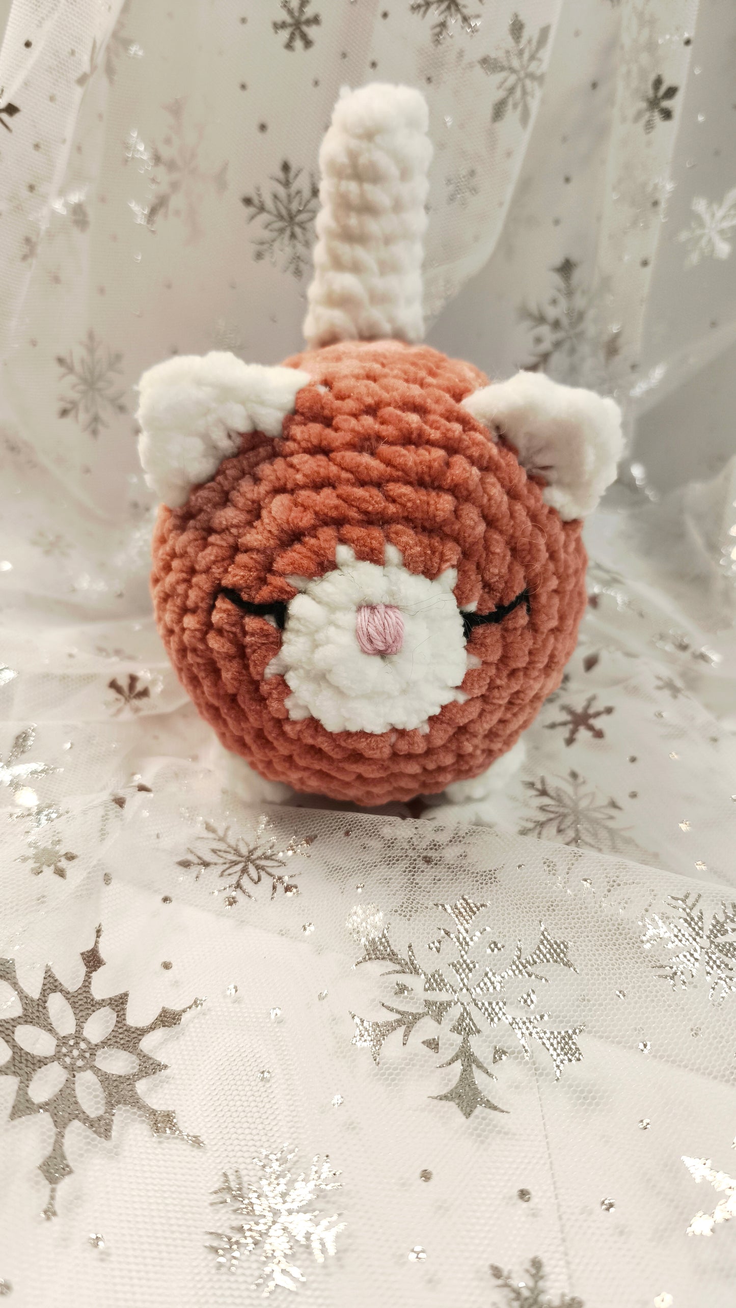 🐱❄️ Siamkatze „Suanín“ | ZimtWeiß | Irische Winterzeit