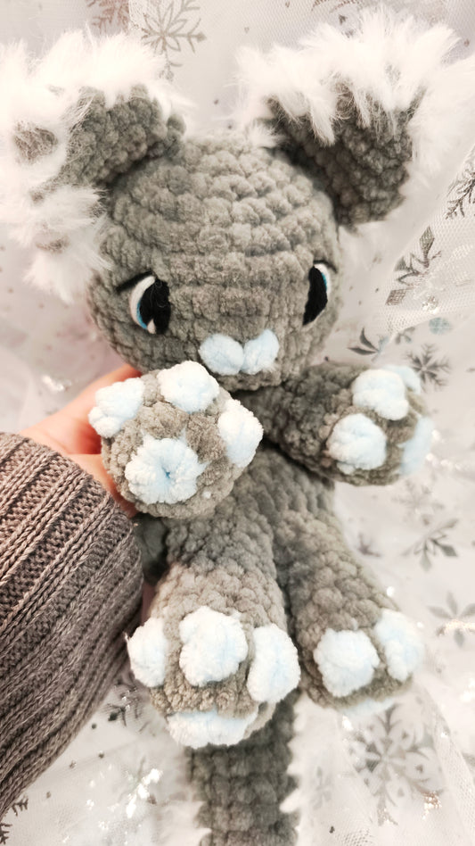 🐾❄️ Main Coon Kitten „Síofra“ | Irische Winterzeit