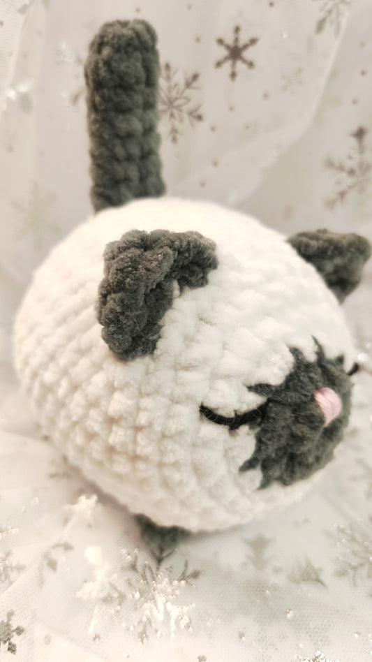 🐱❄️ Siamkatze „Suanín“ | WeißGrau | Irische Winterzeit