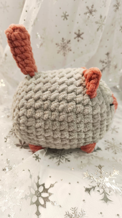 🐱❄️ Siamkatze „Suanín“ | GrauZimt | Irische Winterzeit