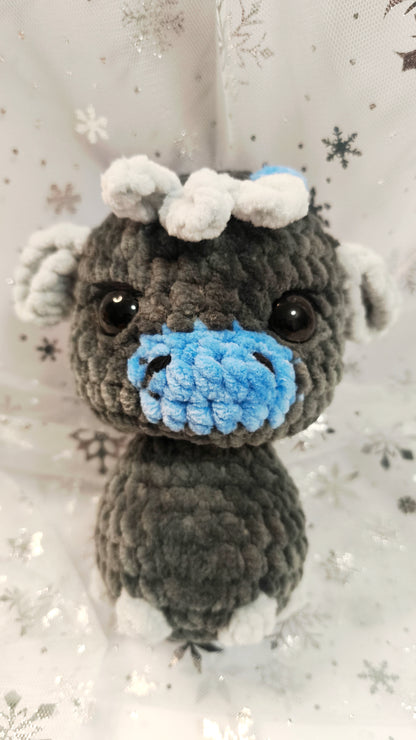 🐮❄️ Highland-Kuh „Ealga“ | Grau Blau | Irische Winterzeit