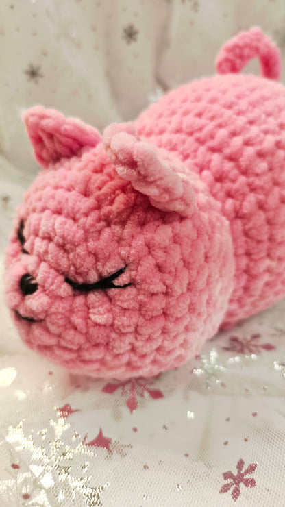 🐾🌸 Pummelkatze „Míde“ | Irische Winterzeit