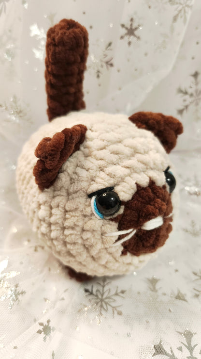 🐱❄️ Siamkatze „Spéirín“ | BeigeBraun | Irische Winterzeit