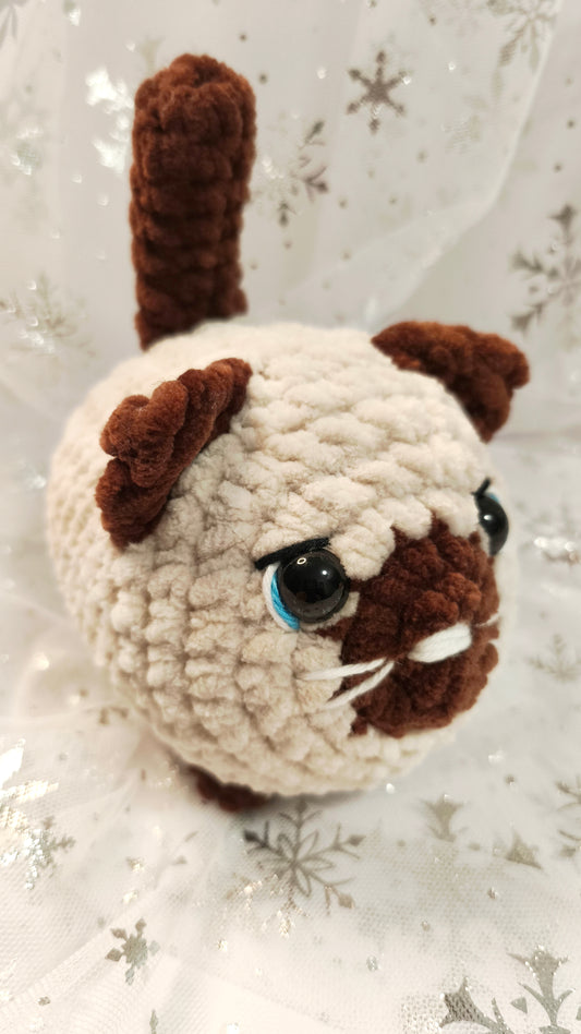 🐱❄️ Siamkatze „Spéirín“ | BeigeBraun | Irische Winterzeit