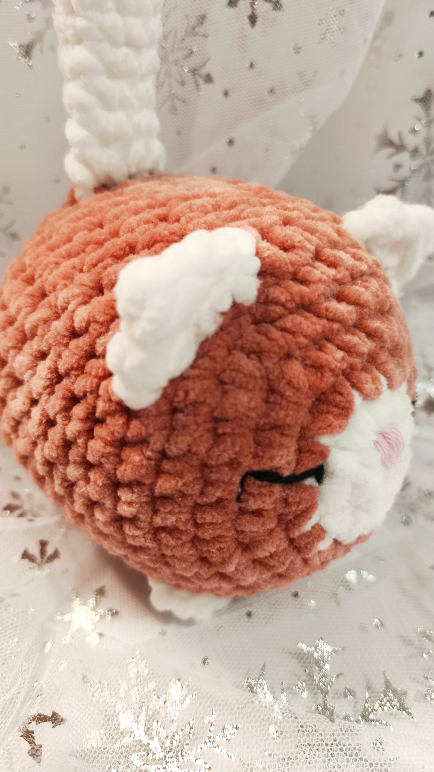 🐱❄️ Siamkatze „Suanín“ | ZimtWeiß | Irische Winterzeit