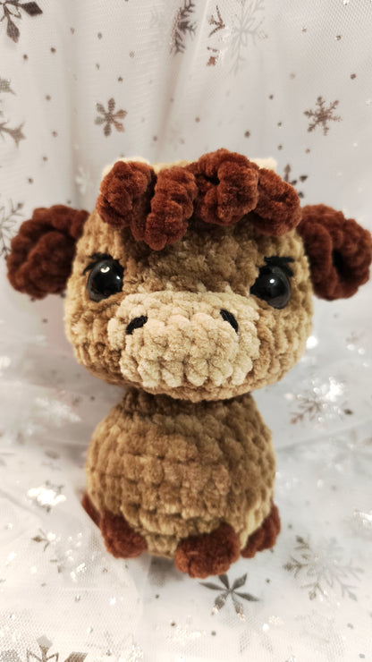 🐮❄️ Highland-Kuh „Ealga“ | Braun DarkBraun | Irische Winterzeit